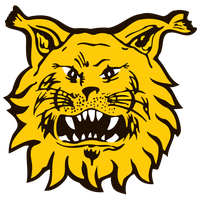 1750933502204.png