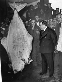 250px-Fiorello_LaGuardia_with_halibut.jpg