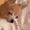 stillesque.gif