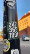 IMG_2667.jpeg