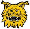 1785007873241.png