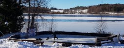 20230401_105709.jpg