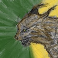 Åborginaali